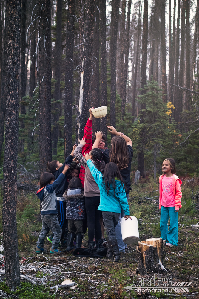 Grandma Berry Attack 
