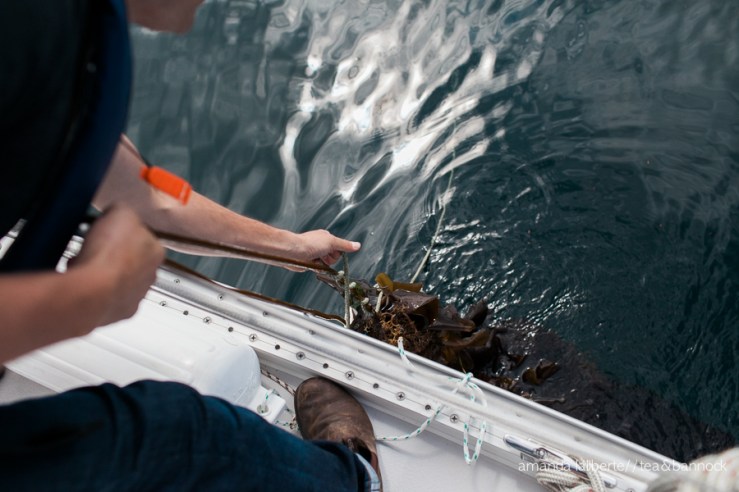 My husband bringing up an empty crab trap but we will pretend it was full.