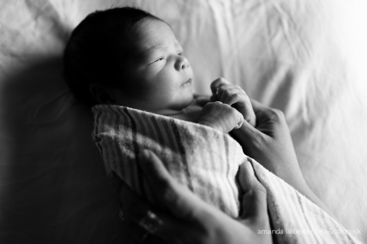 D_Mountain_AmandaLaliberte-6