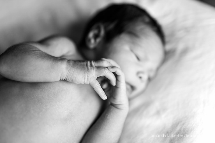 D_Mountain_AmandaLaliberte-9