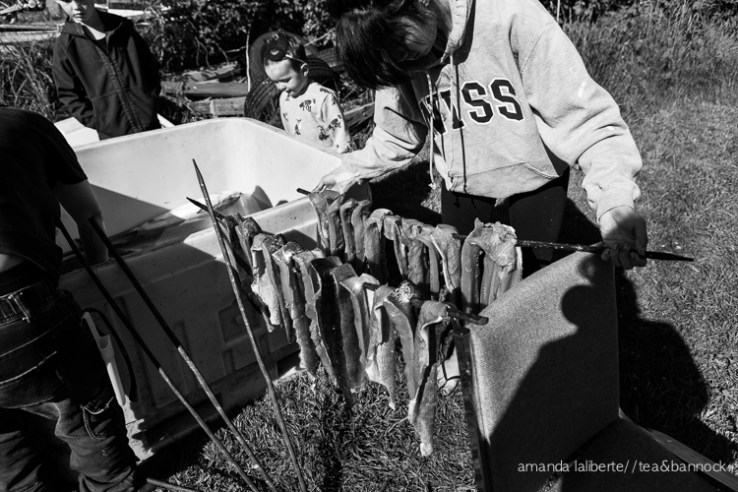 Alexis is hanging the salmon which are carefully balanced on the chair and the large container. A few seconds later, my boys knock over one the sticks on to the ground. 