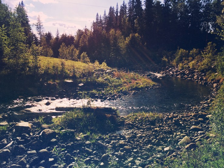 Processed with VSCO with 7 preset