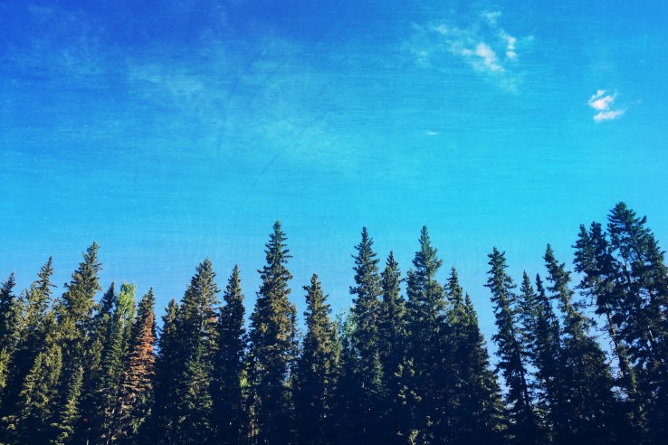 Processed with VSCO with 7 preset