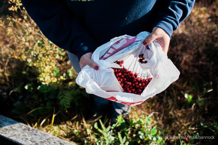 Amanda_Laliberte_Tea&Bannock-11