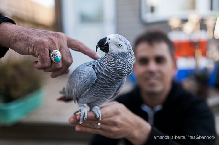Amanda_Laliberte_Tea&Bannock-12