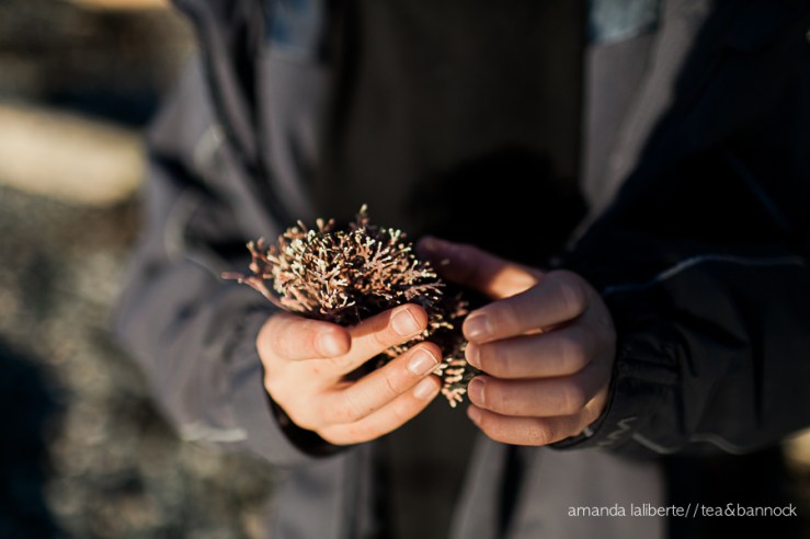 Amanda_Laliberte_Tea&Bannock-16