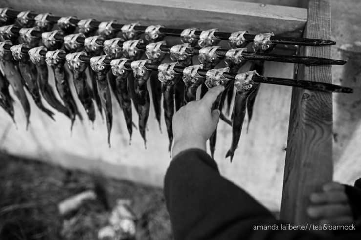 Amanda_Laliberte_Tea&Bannock-4