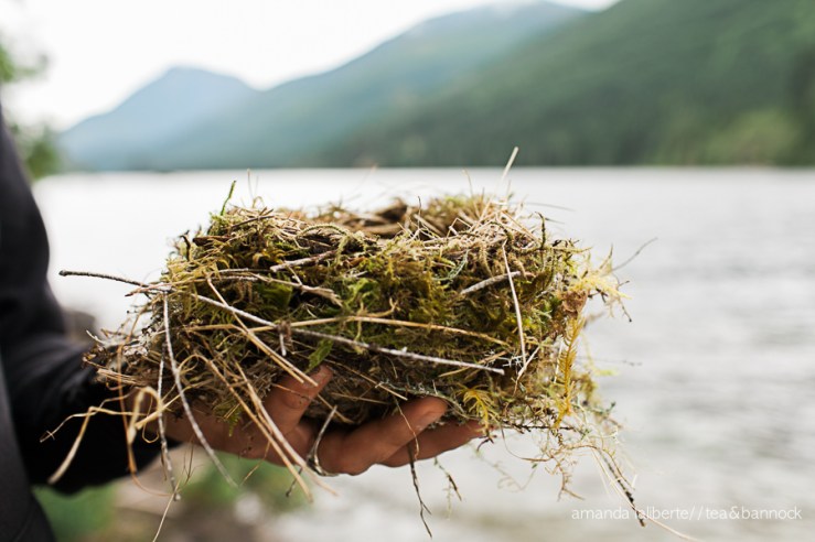 Amanda_Laliberte_Tea&Bannock-8