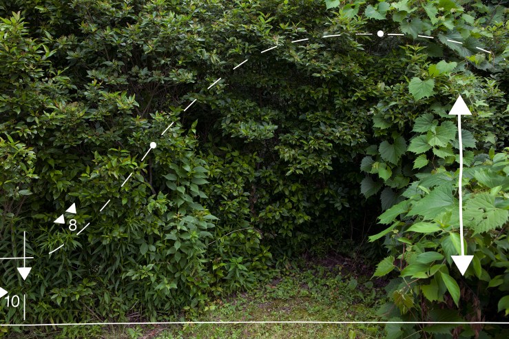 Tekyatatnón-kwe_2013