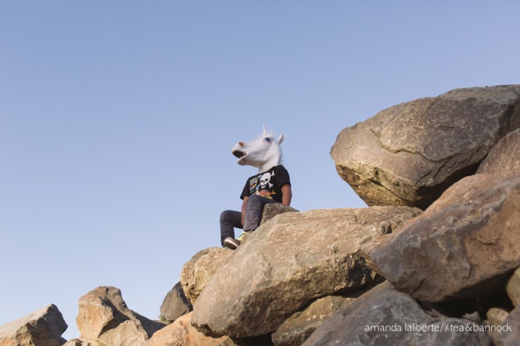 amandalalibertephotography_unicorns-10