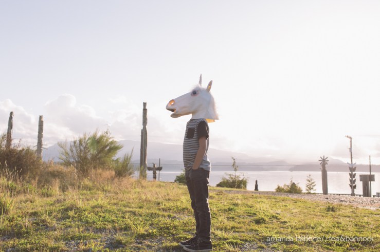 amandalalibertephotography_unicorns-11