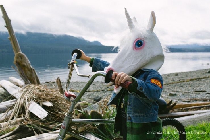amandalalibertephotography_unicorns-2