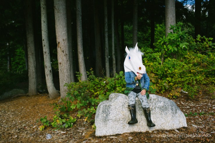 amandalalibertephotography_unicorns-5