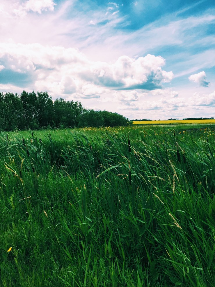 Processed with VSCO with c1 preset