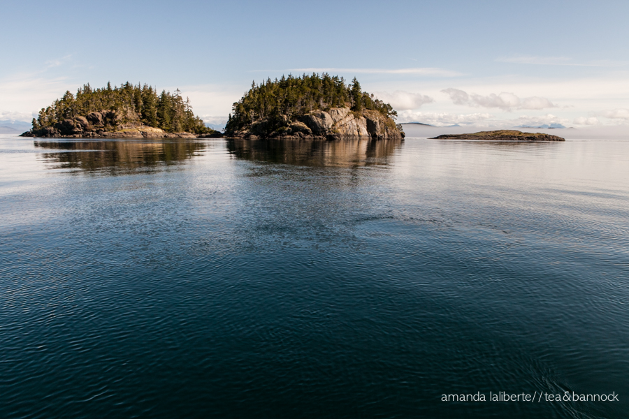 amanda_laliberte_photography_tb-8