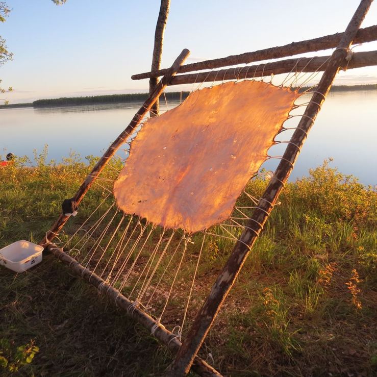 13533088_10154256725104318_7943255668202291433_n