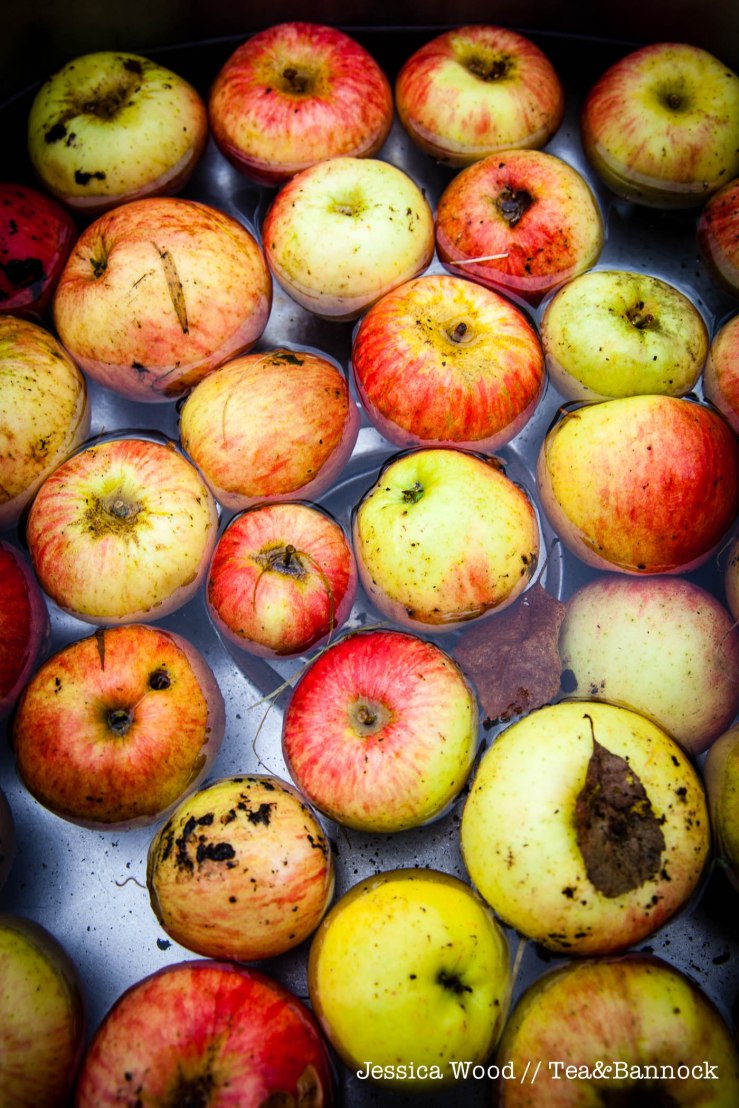 jessica-wood-apple-juice-press-tea-bannock-1
