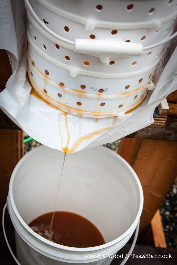 jessica-wood-apple-juice-press-tea-bannock-11