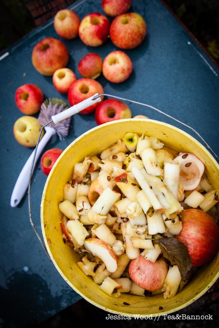 jessica-wood-apple-juice-press-tea-bannock-12