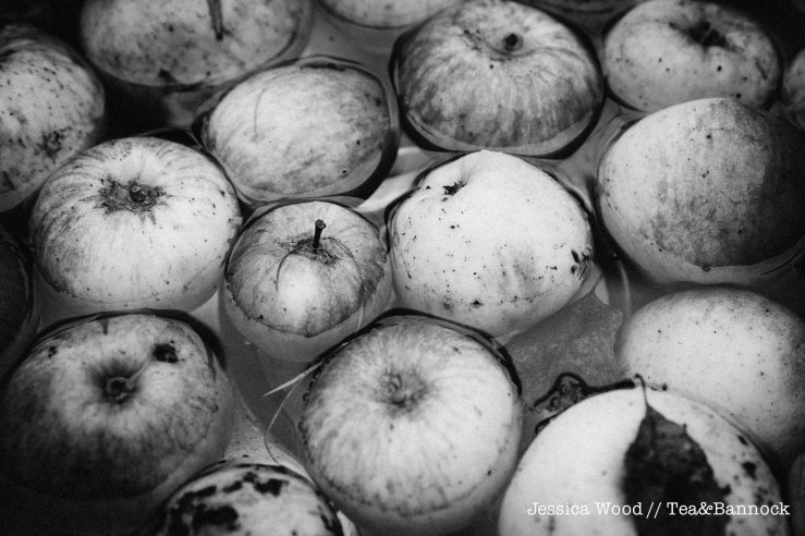 jessica-wood-apple-juice-press-tea-bannock-2