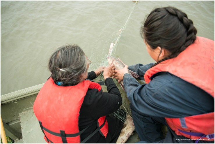 Fish Camp (3 of 27)_WEB