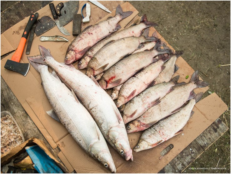 Fish Camp (7 of 27)_WEB